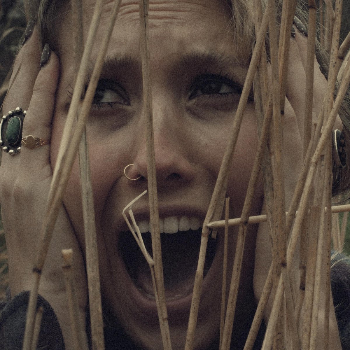 Jessica Stroups Horror Genre Legacy as a Noted Scream Queen